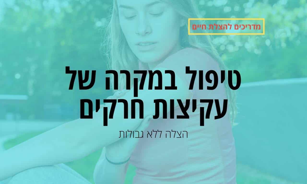 טיפול במקרה של עקיצות חרקים